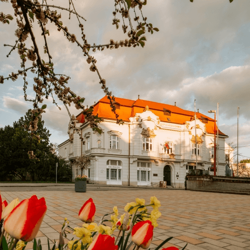 Okresná nemocenská poisťovňa – obrázok 2
