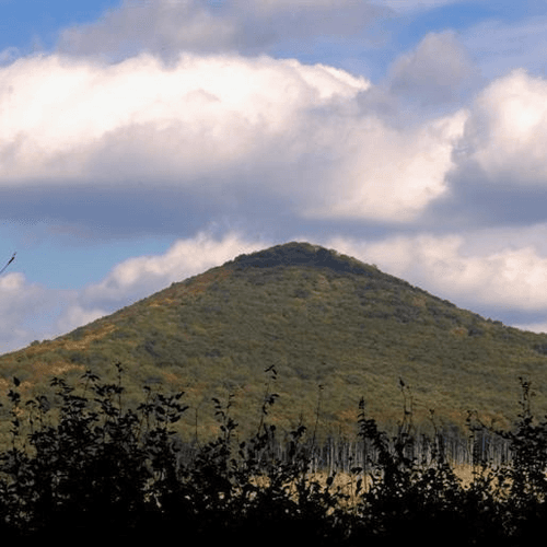 Veterlín